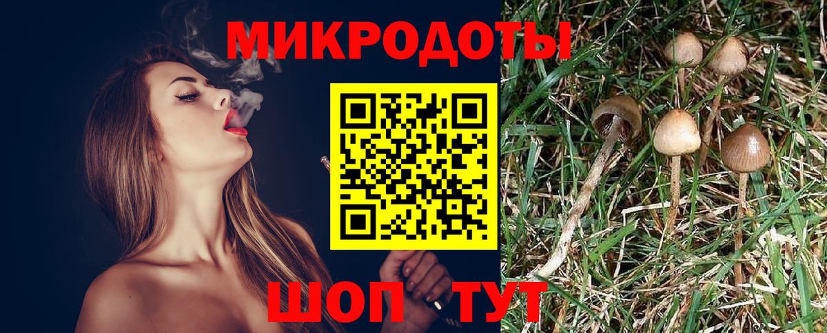 Псилоцибиновые грибы MAGIC MUSHROOMS Борисоглебск
