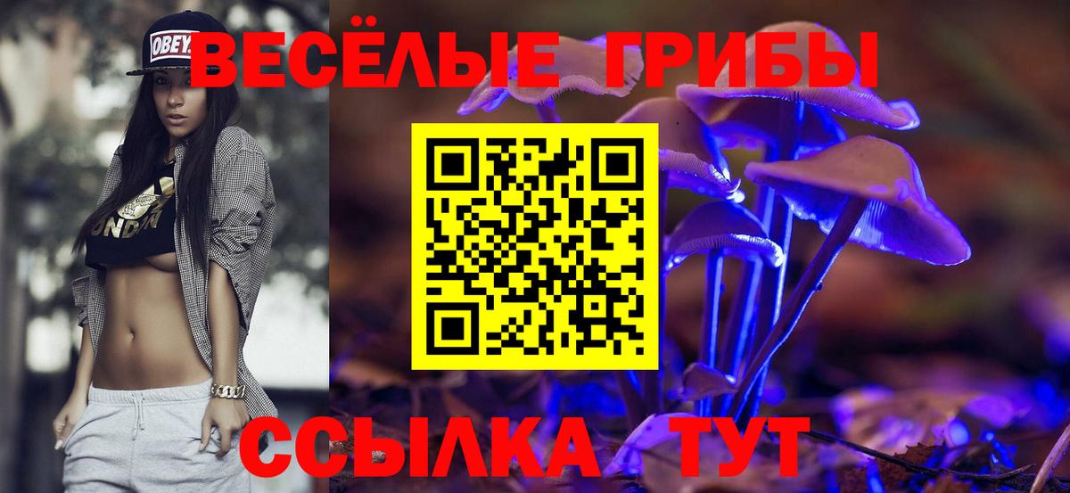 Галлюциногенные грибы Psilocybine cubensis  Псилоцибиновые грибы Cubensis  Борисоглебск  Вход с VPN 